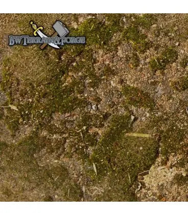 Forge Mats: Western Frontier - Southwestern prairie themed terrain mat - bw-terrain-forge